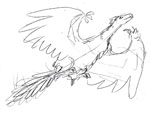 Archaeopteryx