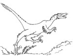 Velociraptor