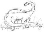 Diplodocus