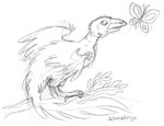 Archaeopteryx