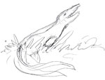 Mosasaurus