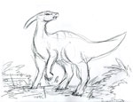 Parasaurolophus