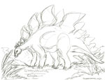 Stegosaurus