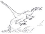 Velociraptor