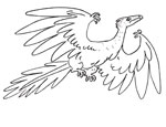 Archaeopteryx