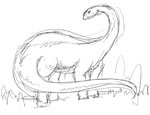 Diplodocus