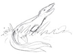Mosasaurus