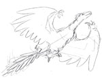 Archaeopteryx