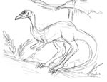 Coelophysis