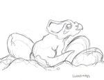 Protoceratops