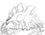Stegosaurus