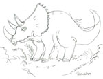 Triceratops