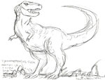 Tyrannosaurus Rex