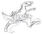 Velociraptor