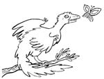 Archaeopteryx