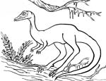 Coelophysis