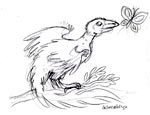 Archaeopteryx