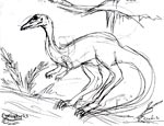 Coelophysis