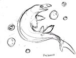 Mosasaurus